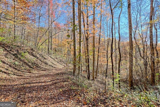 1307 Clear Creek Road, Hayesville, NC 28904