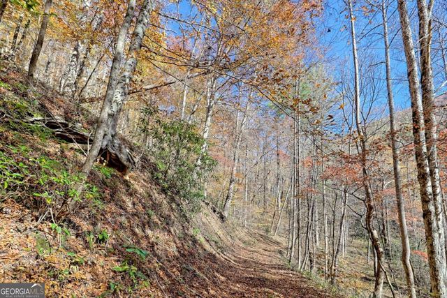 1307 Clear Creek Road, Hayesville, NC 28904