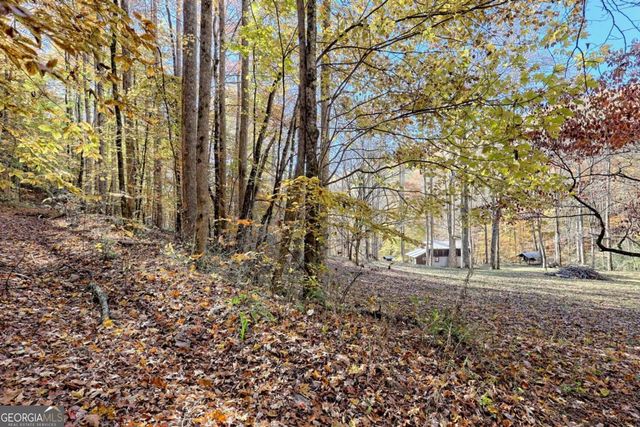 1307 Clear Creek Road, Hayesville, NC 28904