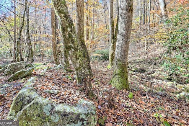 1307 Clear Creek Road, Hayesville, NC 28904