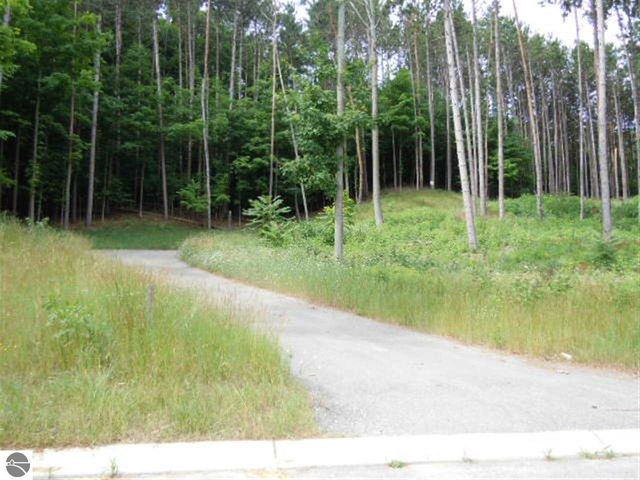 843 Wind Drift Drive, Garfield Twp, MI 49684