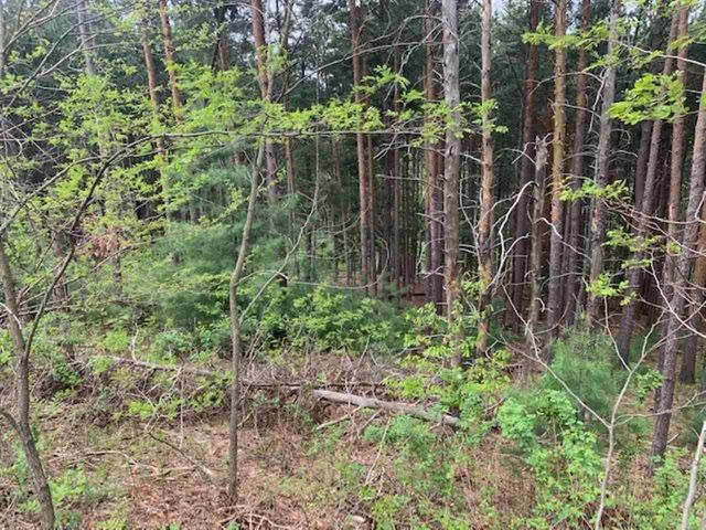 843 Wind Drift Drive, Garfield Twp, MI 49684