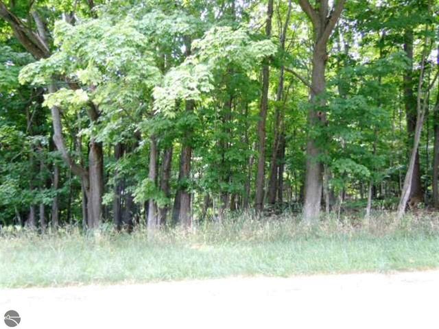 843 Wind Drift Drive, Garfield Twp, MI 49684