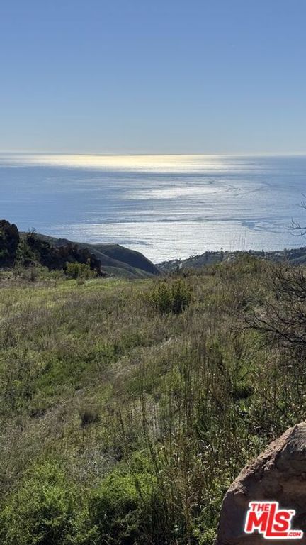 Image 30 of property listing at 2195 Little Las Flores, Topanga, CA 90290