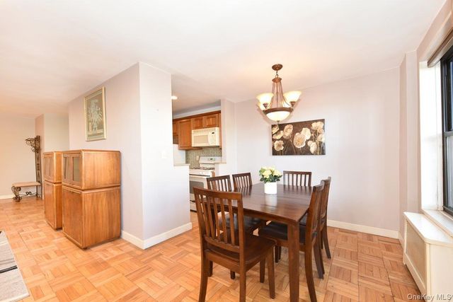 4 Birchwood Court 1N, Mineola, NY 11501