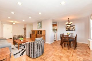 4 Birchwood Court 1N, Mineola, NY 11501
