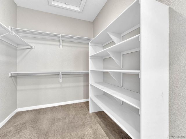 10062 Belvedere Circle, Lone Tree, CO 80124