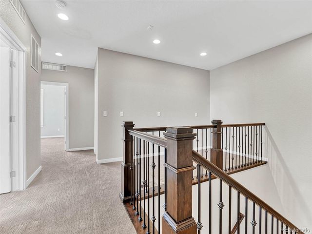 10062 Belvedere Circle, Lone Tree, CO 80124