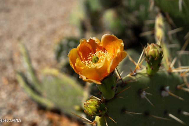 30472 N SUNRAY Drive, San Tan Valley, AZ 85143