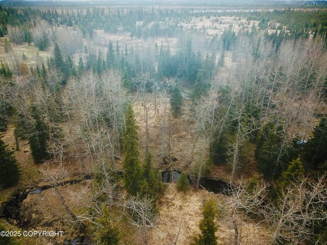 000 Kharacter Place, Anchor Point, AK 99556