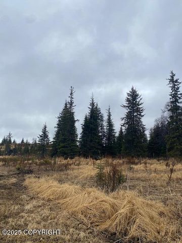 000 Kharacter Place, Anchor Point, AK 99556