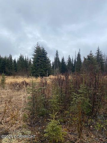 000 Kharacter Place, Anchor Point, AK 99556