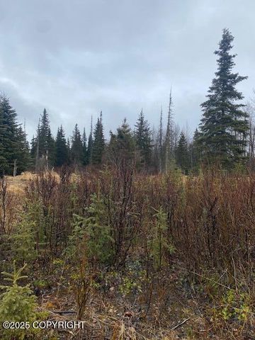 000 Kharacter Place, Anchor Point, AK 99556