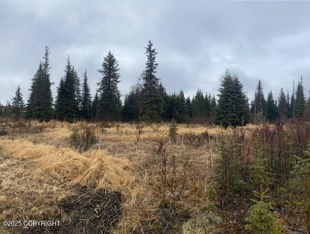 000 Kharacter Place, Anchor Point, AK 99556