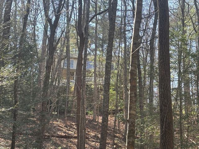 127 Black Forest Lane, Blairsville, GA 30512