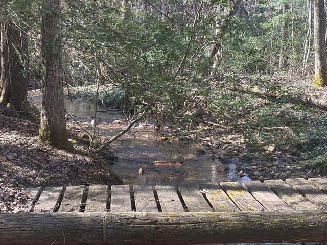 127 Black Forest Lane, Blairsville, GA 30512