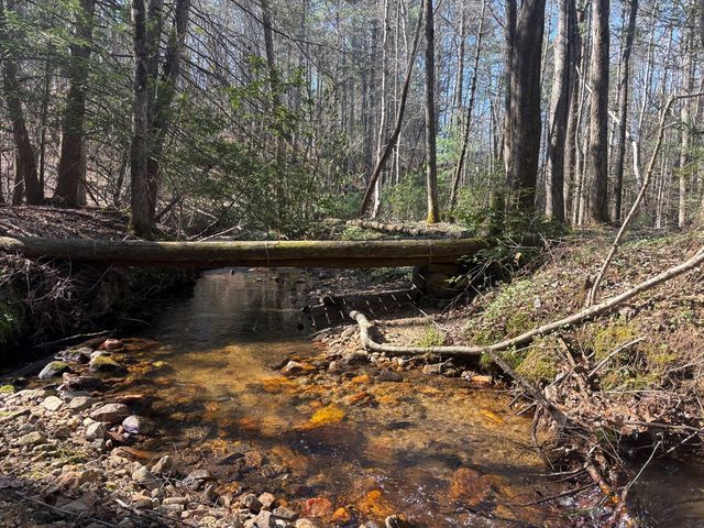 127 Black Forest Lane, Blairsville, GA 30512