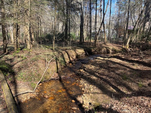 127 Black Forest Lane, Blairsville, GA 30512