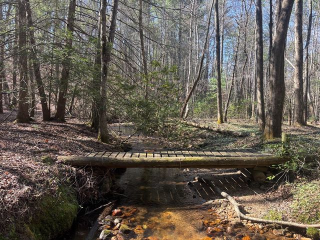 127 Black Forest Lane, Blairsville, GA 30512