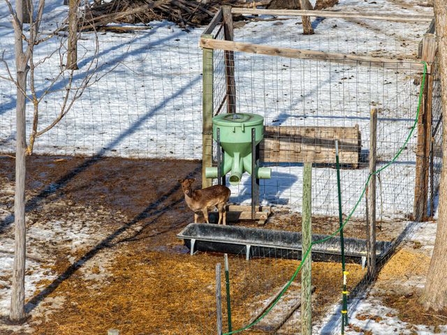 38322 141st Avenue, Bagley, MN 56621