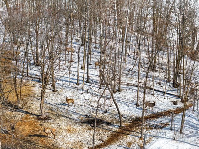 38322 141st Avenue, Bagley, MN 56621