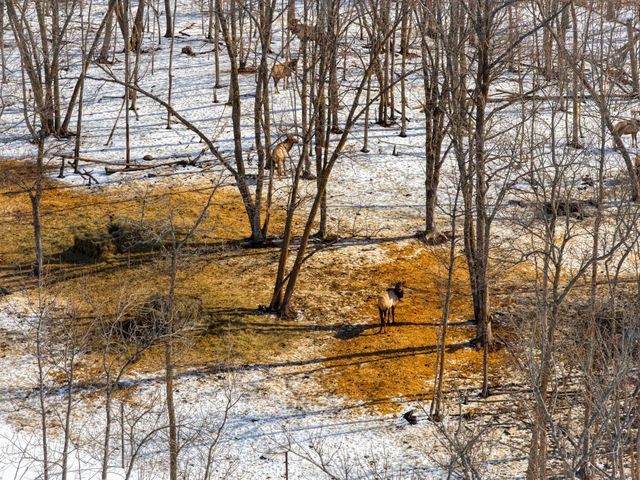 38322 141st Avenue, Bagley, MN 56621