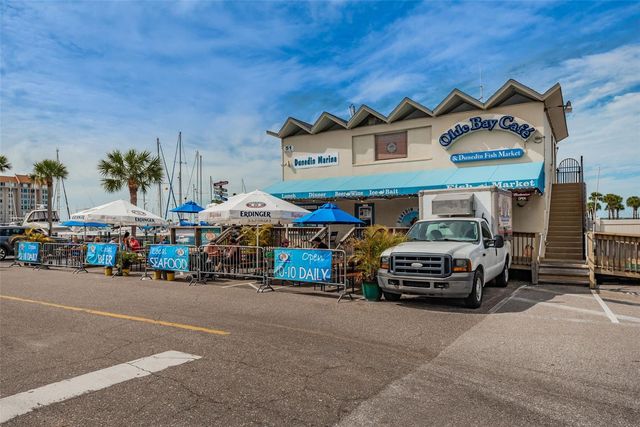 253 PARK CIRCLE S, Dunedin, FL 34698