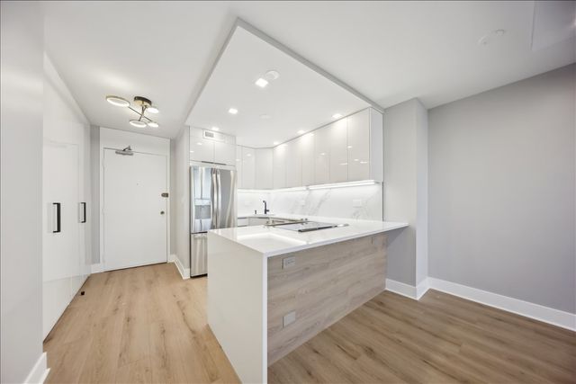 88 W Schiller Street 2107L, Chicago, IL 60610