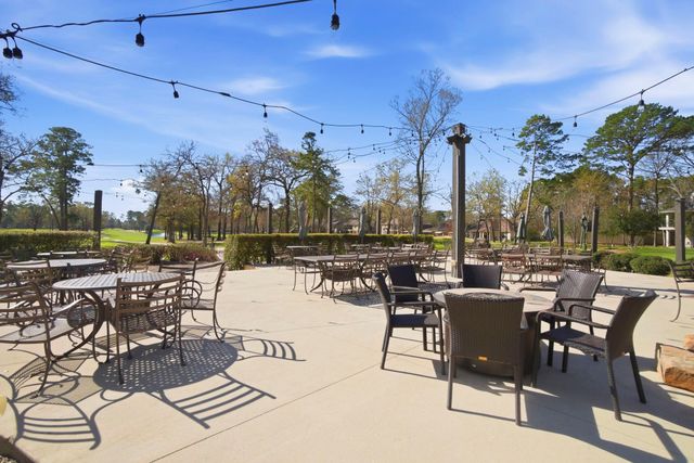 12807 Oak Village Drive, Montgomery, TX 77356