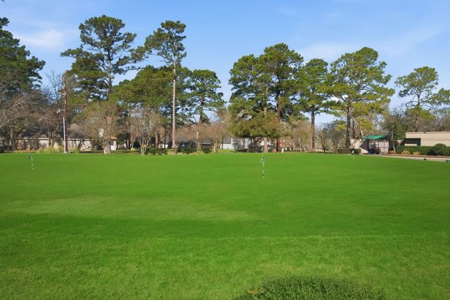 12807 Oak Village Drive, Montgomery, TX 77356