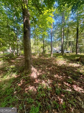 0 TEEL MOUNTAIN Drive, Cleveland, GA 30528