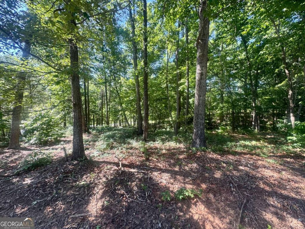 0 TEEL MOUNTAIN Drive, Cleveland, GA 30528