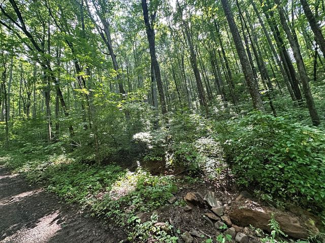 00 Burnt Leaf, Hayesville, NC 28904