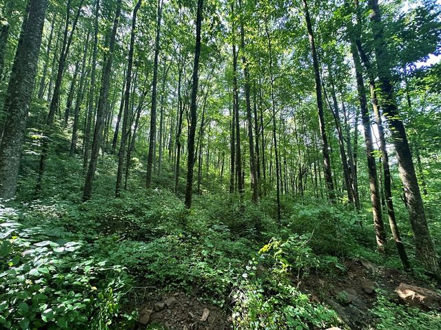 00 Burnt Leaf, Hayesville, NC 28904