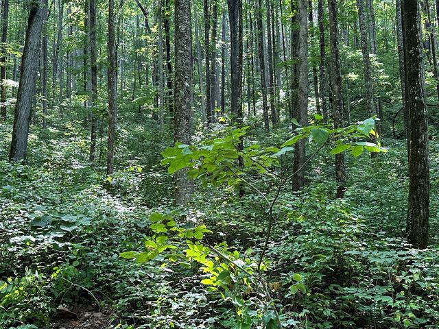 00 Burnt Leaf, Hayesville, NC 28904