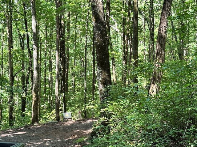 00 Burnt Leaf, Hayesville, NC 28904