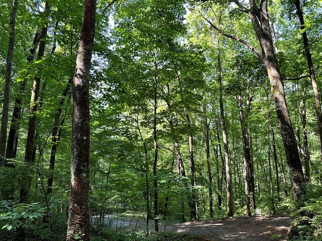 00 Burnt Leaf, Hayesville, NC 28904