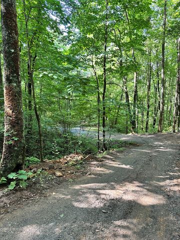 00 Burnt Leaf, Hayesville, NC 28904