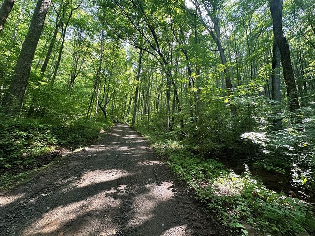 00 Burnt Leaf, Hayesville, NC 28904