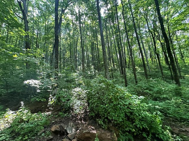 00 Burnt Leaf, Hayesville, NC 28904