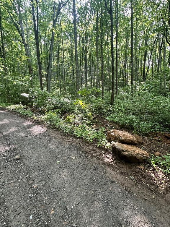 00 Burnt Leaf, Hayesville, NC 28904