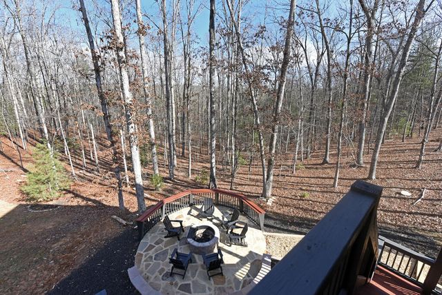 1008 Ridge Drive, Morganton, GA 30560