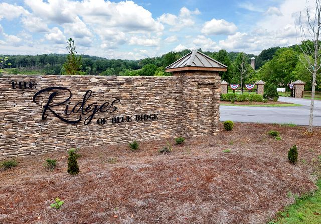 1008 Ridge Drive, Morganton, GA 30560