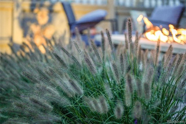 1589 Chestnut Avenue, Erie, CO 80516