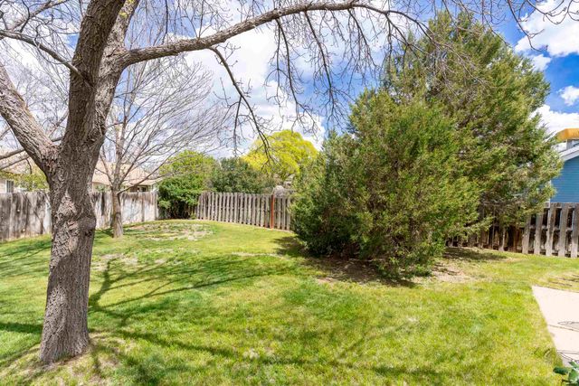 65 Columbine Lane, Parachute, CO 81635