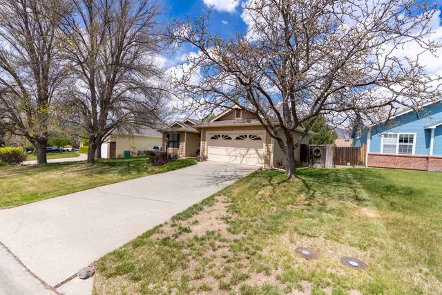 65 Columbine Lane, Parachute, CO 81635