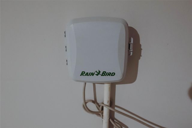 211 Brazen Forest Trail, Magnolia, TX 77354