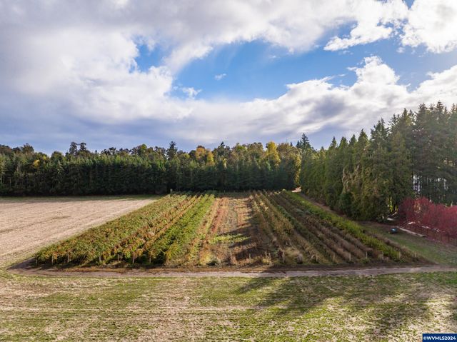 37486 S Highway 213 (Adj to), Mt Angel, OR 97362