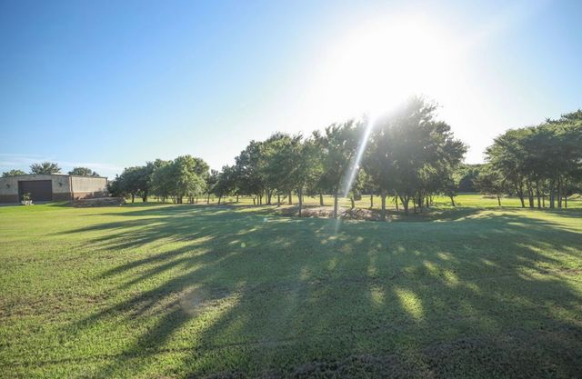 1409 Shadow Lakes Drive, Wills Point, TX 75169