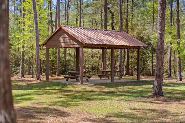 4a-11-55 Sundog Road, Huntsville, TX 77340